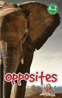 bokomslag Opposites