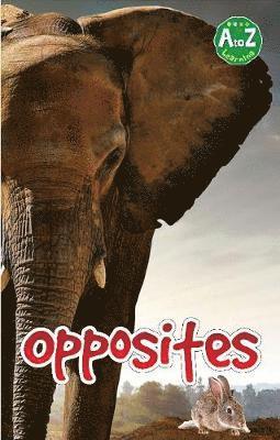 bokomslag Opposites