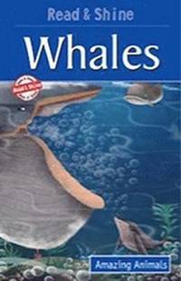 bokomslag Whales