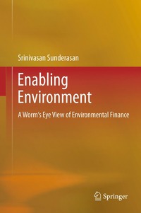 bokomslag Enabling Environment