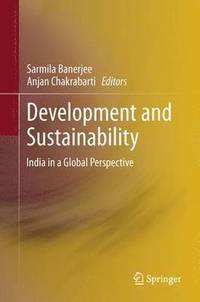 bokomslag Development and Sustainability