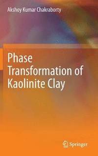 bokomslag Phase Transformation of Kaolinite Clay