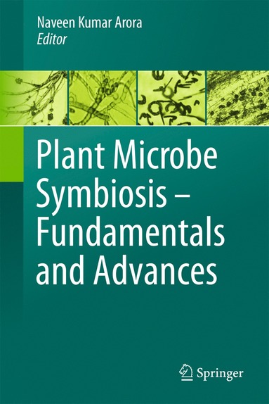 bokomslag Plant Microbe Symbiosis: Fundamentals and Advances