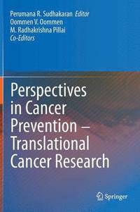 bokomslag Perspectives in Cancer Prevention-Translational Cancer Research