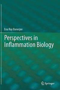 bokomslag Perspectives in Inflammation Biology