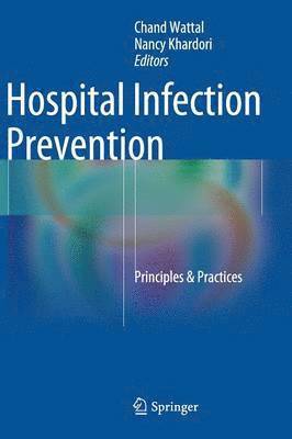 bokomslag Hospital Infection Prevention