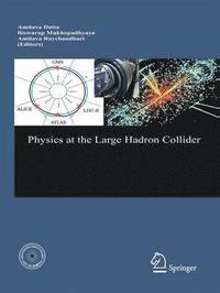 bokomslag Physics at the Large Hadron Collider