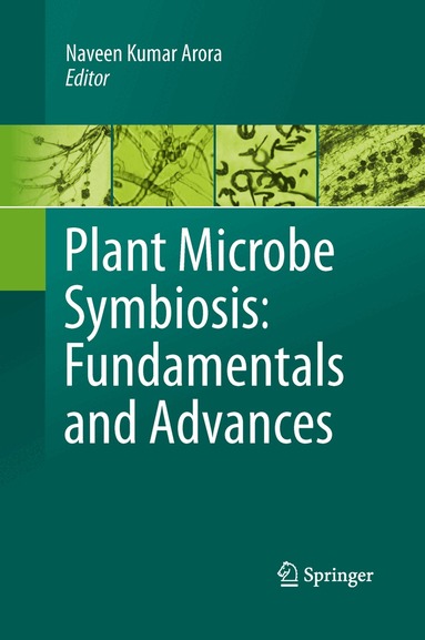 Naveen Kumar Arora - Plant Microbe Symbiosis: Fundamentals and Advances, Häftad