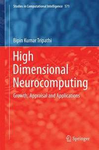 bokomslag High Dimensional Neurocomputing