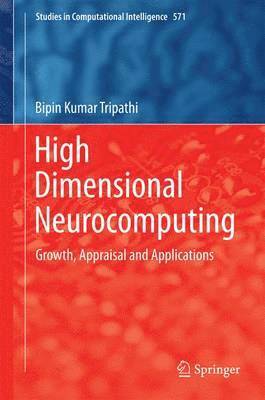 High Dimensional Neurocomputing 1