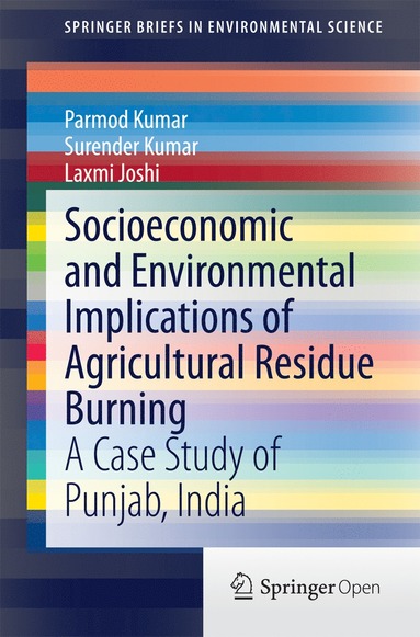 bokomslag Socioeconomic and Environmental Implications of Agricultural Residue Burning