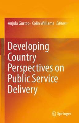 bokomslag Developing Country Perspectives on Public Service Delivery