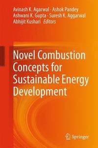 bokomslag Novel Combustion Concepts for Sustainable Energy Development