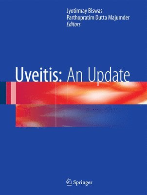 bokomslag Uveitis: An Update