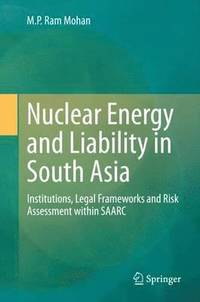 bokomslag Nuclear Energy and Liability in South Asia
