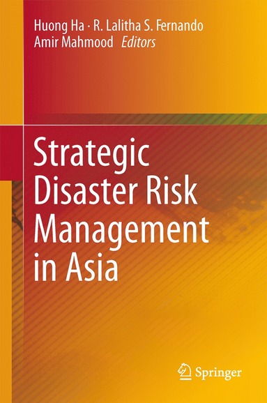 bokomslag Strategic Disaster Risk Management in Asia