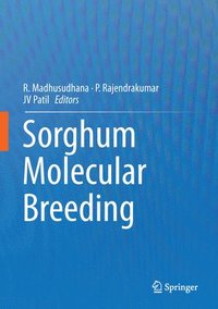 bokomslag Sorghum Molecular Breeding