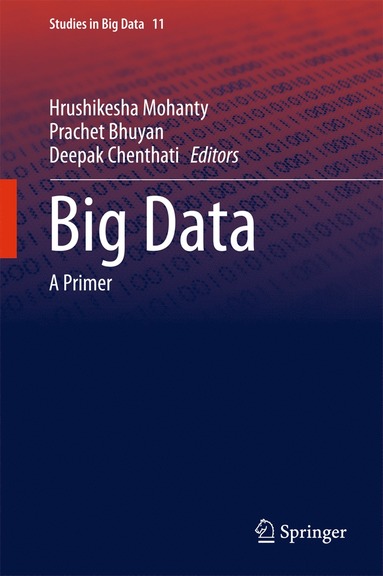 bokomslag Big Data