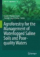 bokomslag Agroforestry for the Management of Waterlogged Saline Soils and Poor-Quality Waters