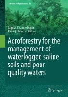 bokomslag Agroforestry for the Management of Waterlogged Saline Soils and Poor-Quality Waters