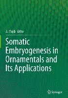 bokomslag Somatic Embryogenesis in Ornamentals and Its Applications