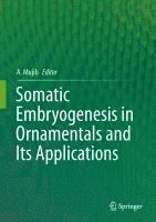 bokomslag Somatic Embryogenesis in Ornamentals and Its Applications