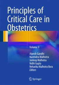 bokomslag Principles of Critical Care in Obstetrics
