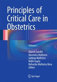 bokomslag Principles of Critical Care in Obstetrics