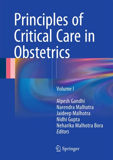 Alpesh Gandhi, Narendra Malhotra, Jaideep Malhotra, Nidhi Gupta, Neharika Malhotra Bora - Principles of Critical Care in Obstetrics, Inbunden