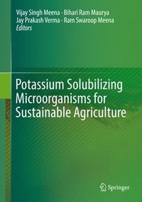 bokomslag Potassium Solubilizing Microorganisms for Sustainable Agriculture