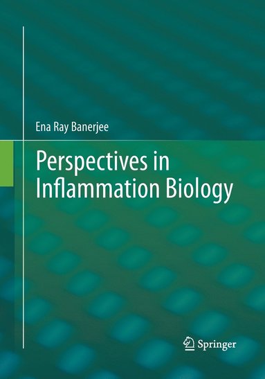 bokomslag Perspectives in Inflammation Biology