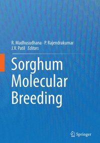 bokomslag Sorghum Molecular Breeding