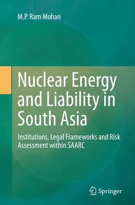 bokomslag Nuclear Energy and Liability in South Asia