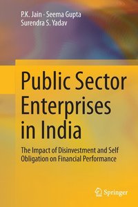 bokomslag Public Sector Enterprises in India