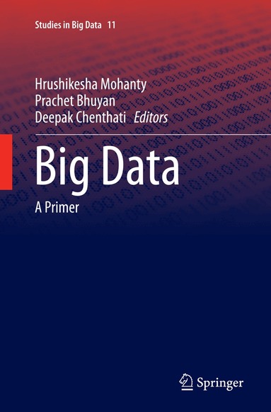 Hrushikesha Mohanty, Prachet Bhuyan, Deepak Chenthati - Big Data, Häftad