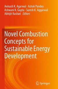 bokomslag Novel Combustion Concepts for Sustainable Energy Development