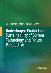 bokomslag Biohydrogen Production: Sustainability of Current Technology and Future Perspective