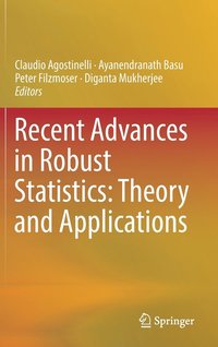 bokomslag Recent Advances in Robust Statistics: Theory and Applications