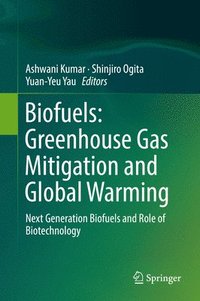 bokomslag Biofuels: Greenhouse Gas Mitigation and Global Warming