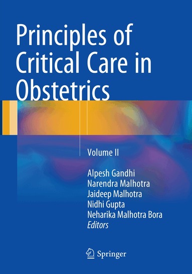 Alpesh Gandhi, Narendra Malhotra, Jaideep Malhotra, Nidhi Gupta, Neharika Malhotra Bora - Principles of Critical Care in Obstetrics, Häftad