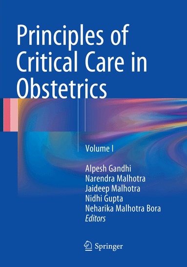 Alpesh Gandhi, Narendra Malhotra, Jaideep Malhotra, Nidhi Gupta, Neharika Malhotra Bora - Principles of Critical Care in Obstetrics, Häftad