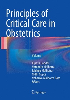 bokomslag Principles of Critical Care in Obstetrics