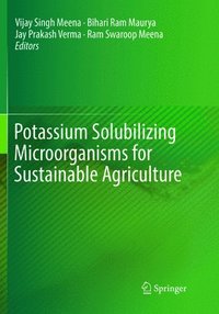 bokomslag Potassium Solubilizing Microorganisms for Sustainable Agriculture