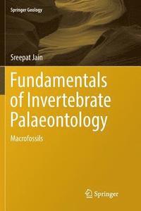 bokomslag Fundamentals of Invertebrate Palaeontology