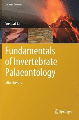 bokomslag Fundamentals of Invertebrate Palaeontology