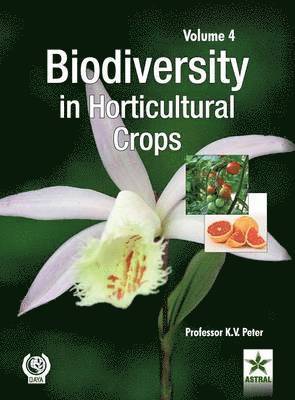 K V Peter, K. V. Peter - Biodiversity in Horticultural Crops Vol. 4, Inbunden