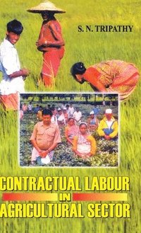 bokomslag Contractual Labour in Agricultural Sector