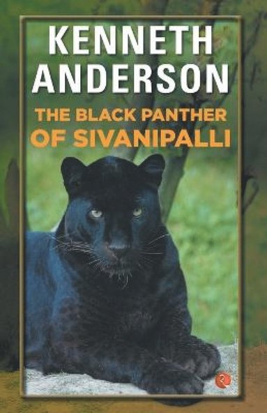 bokomslag Black Panther of Sivanipalli