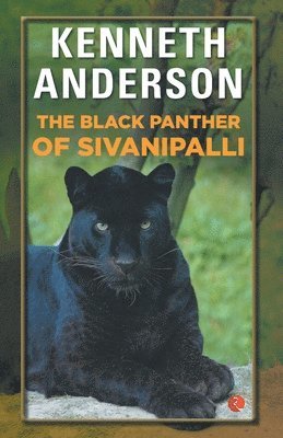 Black Panther of Sivanipalli 1