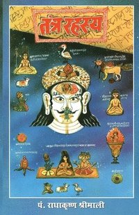 bokomslag Tantra Rahasya